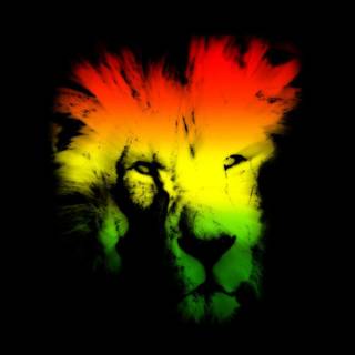 Rasta design wallpaper