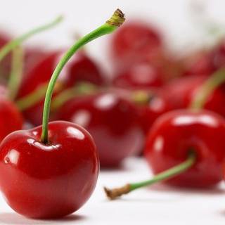 Red cherry HD wallpaper