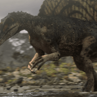 Real spinosaurus wallpaper