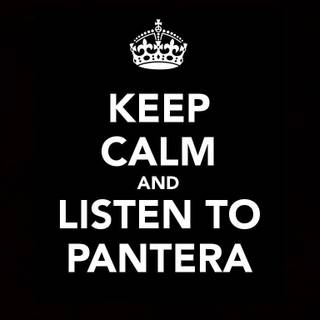 Pantera wallpaper HD