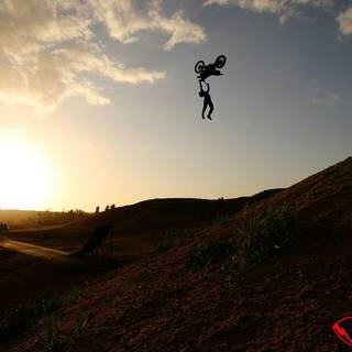 Mobile wallpaper fmx