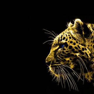 Cheetah 3D wallpaper full