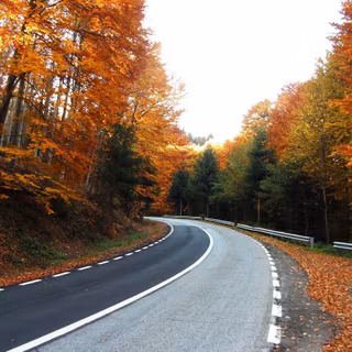 Road trip desktop wallpaper