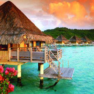 Most beautiful background wallpaper