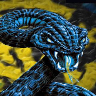 Viper snake HD wallpaper