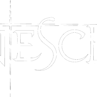 Evanescence logo HD wallpaper