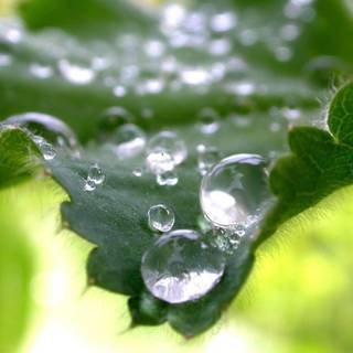 Beautiful nature wallpaper HD 1080p