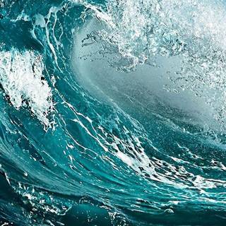 Surfing tumblr iphone wallpaper