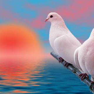 Dove background images