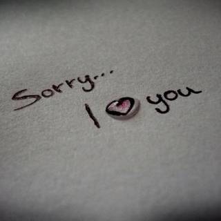 Sorry love you wallpaper