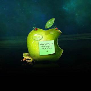 Very funny wallpaper HD