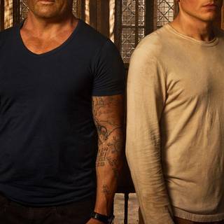 Prison break season 3 HD wallpaper