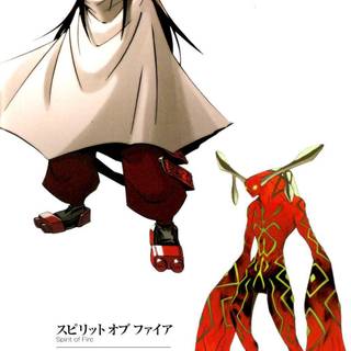 Fire king background