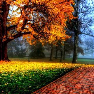 Beautiful wallpaper pic