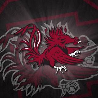 Usc gamecock iphone wallpaper