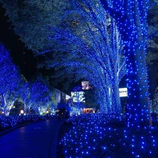 HD widescreen wallpaper 1920x1080