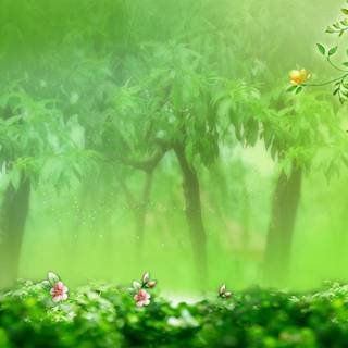 Background hijau high resolution