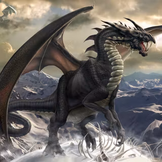 Black doragon wallpaper