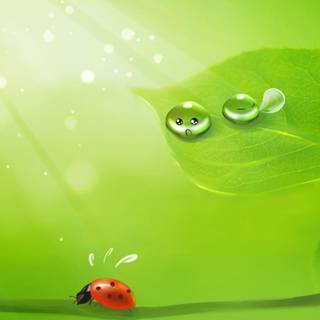 Green wallpaper desktop