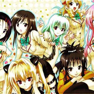 To love Ru wallpaper HD