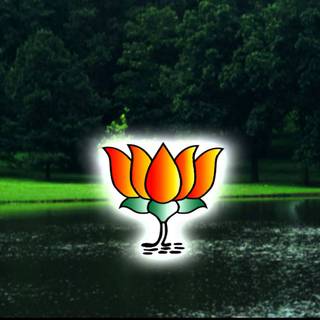 Background for BJP wallpaper
