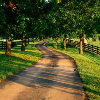 Nature background HD best