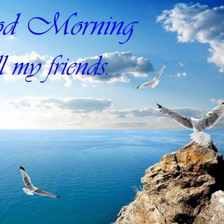 Good morning friends wallpaper