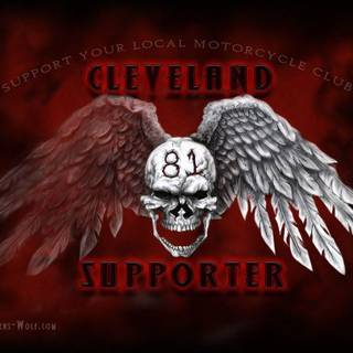 81 support wallpaper