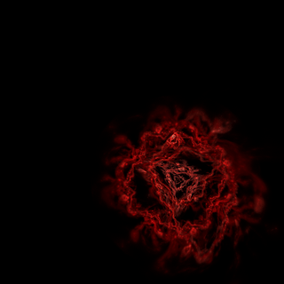 Black and red rose wallpaper