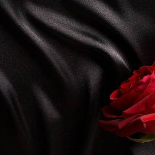 Black and red rose wallpaper