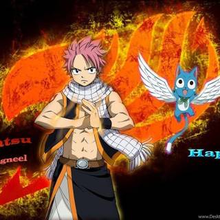 Fairy tail natsu and happy wallpaper