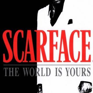 Wallpaper scarface the world is yours
