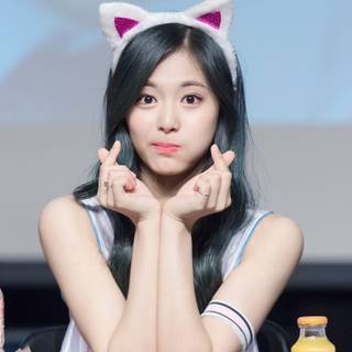 Chou Tzu-yu wallpaper