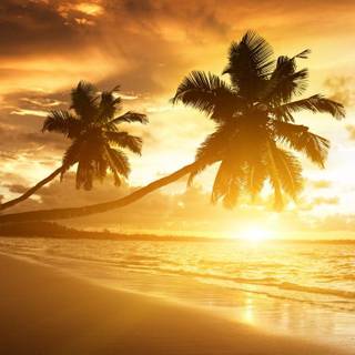 Amazing wallpaper for desktop