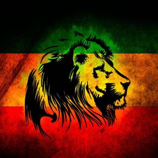 Reggae colors wallpaper