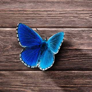 Wallpaper HD for mobile