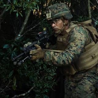 Marines logo wallpaper camo