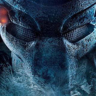 Predator vs alien wallpaper HD