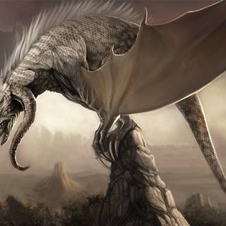 Amazing dragon wallpaper