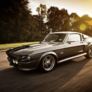 Shelby Mustang wallpaper