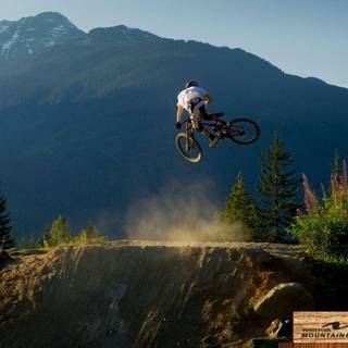 Alpinestar dh wallpaper