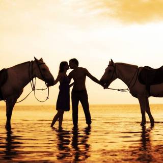 Horse riding wallpaper free