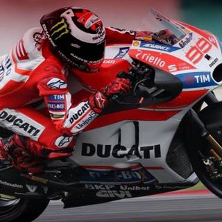 Wallpaper lorenzo 99