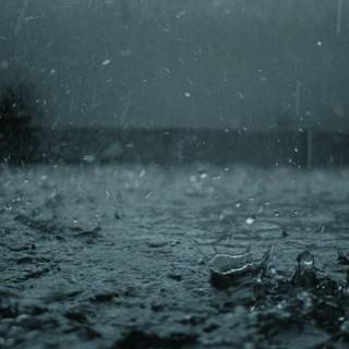 Rain natural wallpaper