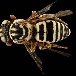 Youtube cool backgrounds