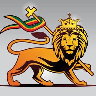 Lion of judah rasta wallpaper