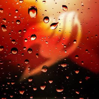 Fairy tail logos wallpaper