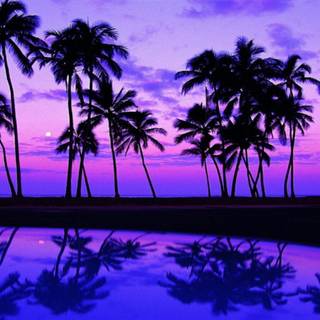 Pretty beach wallpaper