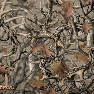 Hunting camo backgrounds
