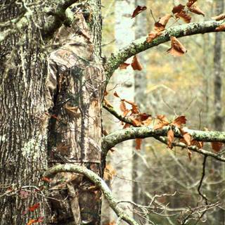 Hunting camo backgrounds